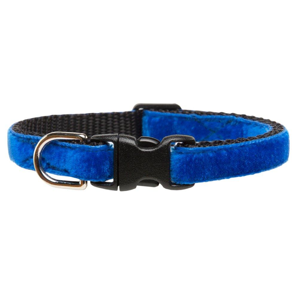 The Night Owl - Cat Collar